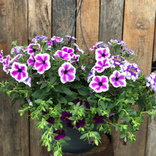 Load image into Gallery viewer, Purple White Mix