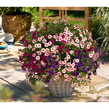 Load image into Gallery viewer, Confetti Garden Hawaiian Flamingo