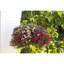 Load image into Gallery viewer, Confetti Garden Hawaiian Flamingo