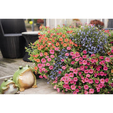 Load image into Gallery viewer, Confetti Garden Water Wheel