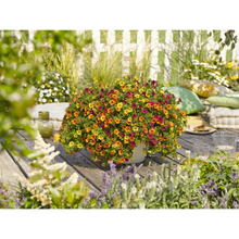 Load image into Gallery viewer, Confetti Garden Hawaiian Kalani