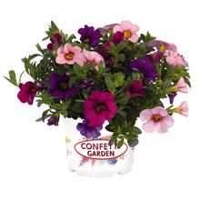 Load image into Gallery viewer, Confetti Garden Hawaiian Flamingo