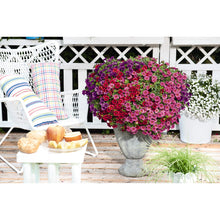 Load image into Gallery viewer, Confetti Garden Hawaiian Mahalo