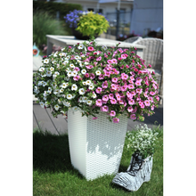 Load image into Gallery viewer, Confetti Garden Hawaiian Pink Fusion