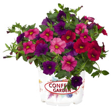 Load image into Gallery viewer, Confetti Garden Hawaiian Mahalo
