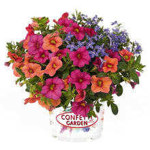 Load image into Gallery viewer, Confetti Garden Water Wheel