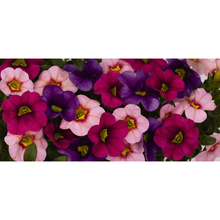 Load image into Gallery viewer, Confetti Garden Hawaiian Flamingo