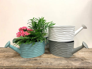 Oval Watering Can with Tropicals