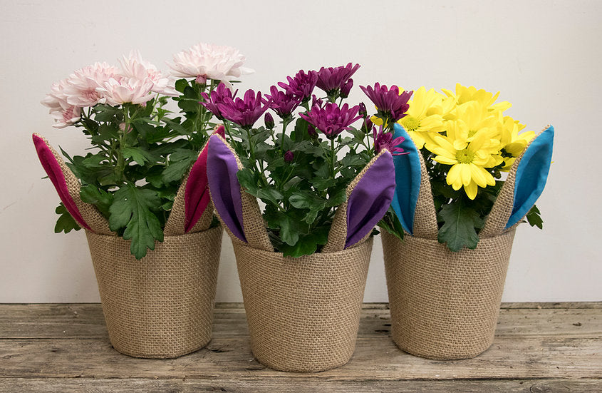 Burlap Bunny Ears & Tails - 4