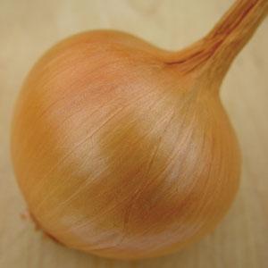 Yellow Spanish Onion