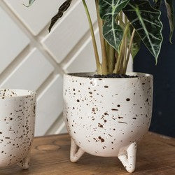 Speckled Ceramic Footed Reid Pot