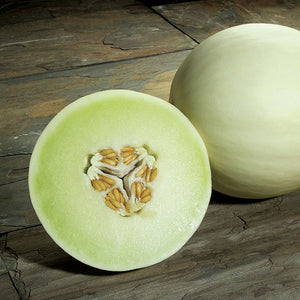 Melon Snow Mass