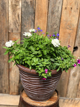 Load image into Gallery viewer, Patio Pot Sun Mix #2
